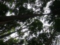 Tn 0951 DSC00126